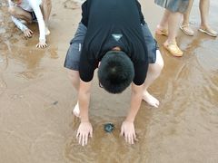 -大王村沙滩