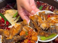 -老板恋上鱼(恒隆广场店)