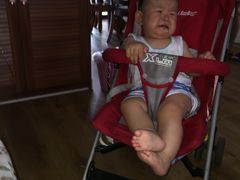 -洪湖家庭农场·团建·露营·会议