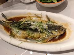 -醉美东江·三文鱼·烧鸡公