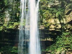 -鹿院坪生态旅游景区