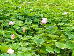 -常州奔牛国际机场