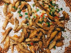 -大榕树下顺德菜(融创茂店)