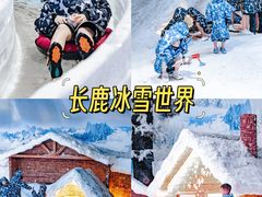 -长鹿旅游休博园