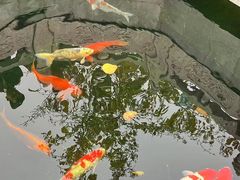 -西安市广仁寺