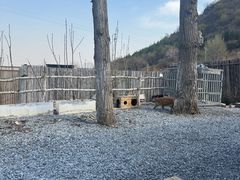-小时光咖啡馆(开森度假森林店)