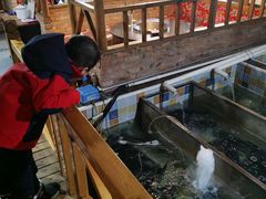 -缘福乡村铁锅炖民宿(八达岭店)
