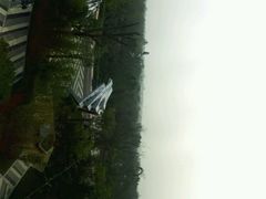 -武清南湖绿博园