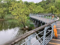 -西湖风景区-江洋畈生态公园