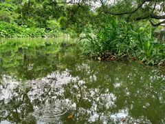 小涌倒影-小洲村