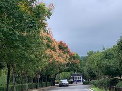 -三江森林温泉度假区