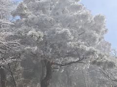 -南岳衡山风景名胜区-南岳大庙