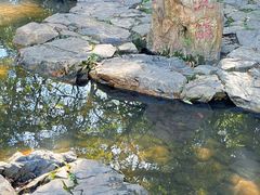 -兰亭风景区