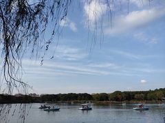 -昆山城市生态森林公园