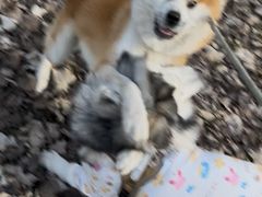 -中粮·祥云小镇