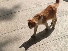 -广州兰圃