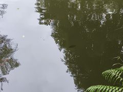 -海南热带野生动植物园