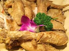 -前海沿·青岛菜(李沧万达店)