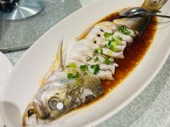 -金美华轩(东方路齐鲁店)