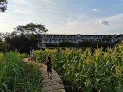 -天河儿童公园