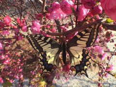 -库伦旗银沙湾旅游景区