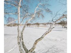 -塞罕坝国家级自然保护区