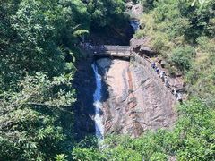 -广州白江湖森林公园