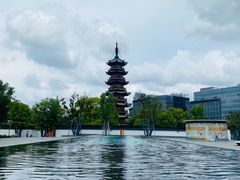 -龙华素斋(龙华路店)