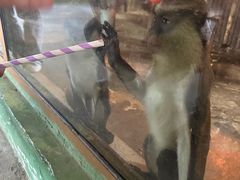 -祥源·阜阳生态乐园