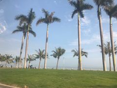 -协成海鲜火锅(情侣路店)