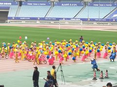 -南京奥林匹克体育中心-体育馆