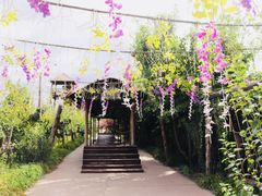 -呀路古热带植物园