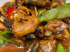 红烧仔鸡-南京悦客假日酒店