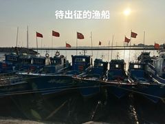 -碧海金沙