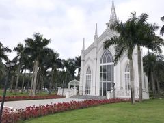 -南宁花花大世界景区