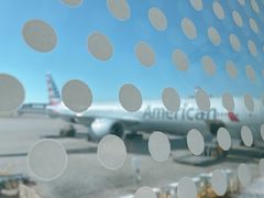 -达拉斯 沃斯堡国际机场