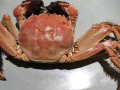 -韩盛·盛江山自助料理(于洪新玛特店)