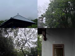 -普陀山慧济禅寺