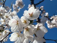 -中关村生命科学园