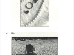-帝京日语(春熙路旗舰校区)