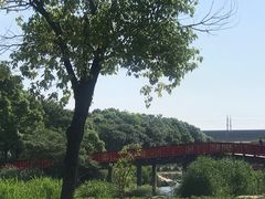 -美兰湖景区
