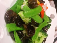 -大树餐厅(益田假日店)