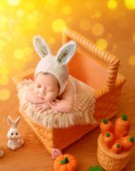 -挚纯baby儿童摄影(庐阳区店)