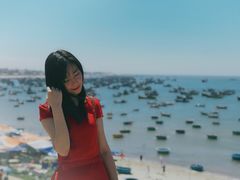 -美奈渔村
