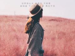 -羊亭河湿地公园