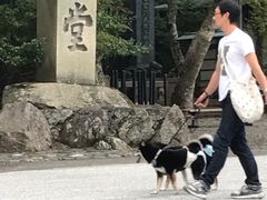 -比叡山