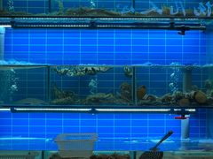 -鑫正兴东北烧烤(滨湖店)