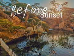 -罗红摄影艺术馆