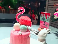 火烈鸟-随心小姐