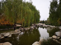 -西安青龙寺遗址景区